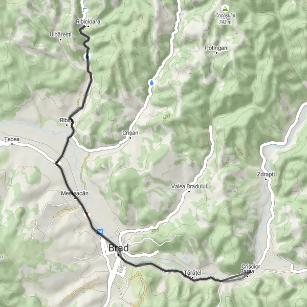 Map miniature of "Mesteacan Road Loop" cycling inspiration in Vest, Romania. Generated by Tarmacs.app cycling route planner