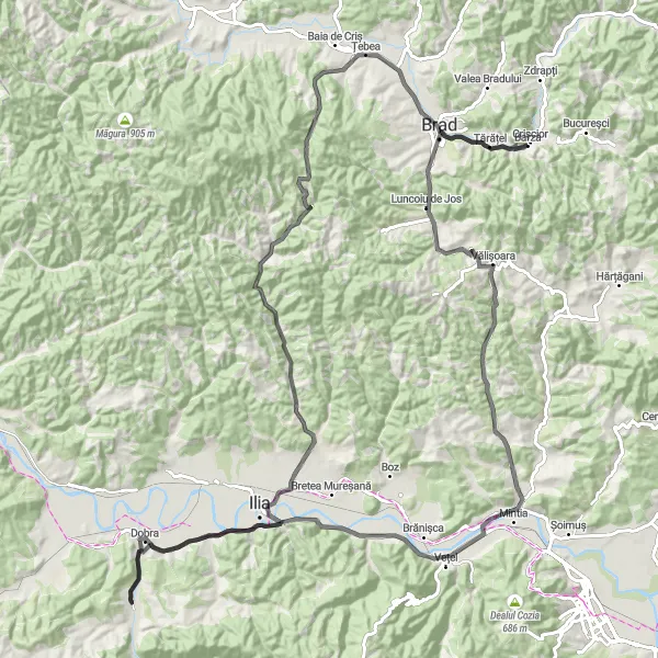 Map miniature of "Leșnic Vista" cycling inspiration in Vest, Romania. Generated by Tarmacs.app cycling route planner