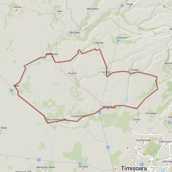 Map miniature of "Satchinez Adventure" cycling inspiration in Vest, Romania. Generated by Tarmacs.app cycling route planner