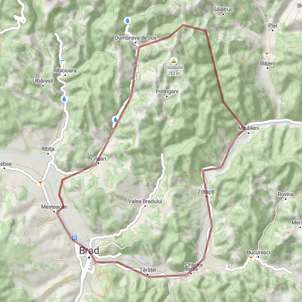 Map miniature of "Gravel Adventure: Off the Beaten Path" cycling inspiration in Vest, Romania. Generated by Tarmacs.app cycling route planner