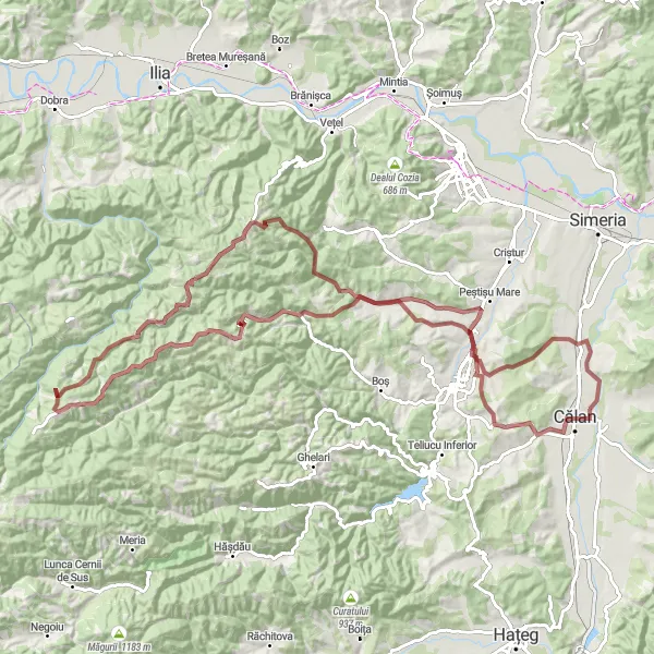 Map miniature of "Muncelu Mic Gravel Adventure" cycling inspiration in Vest, Romania. Generated by Tarmacs.app cycling route planner