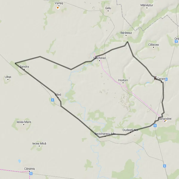 Map miniature of "Carani Road Route" cycling inspiration in Vest, Romania. Generated by Tarmacs.app cycling route planner