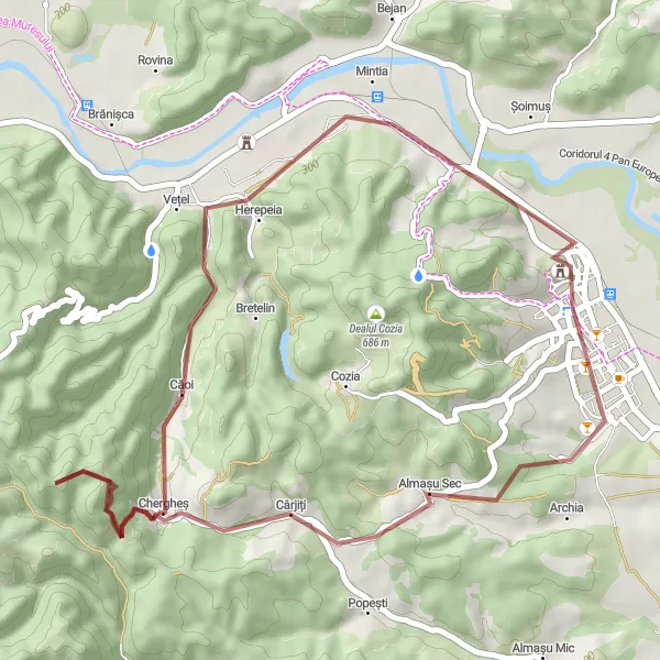 Map miniature of "Gravel Adventure: Hidden Gems" cycling inspiration in Vest, Romania. Generated by Tarmacs.app cycling route planner