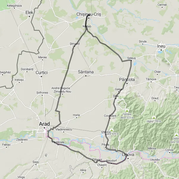 Map miniature of "The Miniș Road Adventure" cycling inspiration in Vest, Romania. Generated by Tarmacs.app cycling route planner