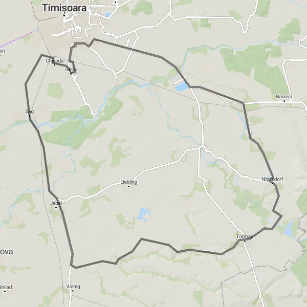 Map miniature of "Scenic Loop to Folea" cycling inspiration in Vest, Romania. Generated by Tarmacs.app cycling route planner