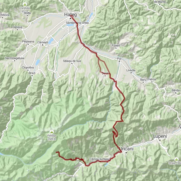 Map miniature of "The Wild Rocola Pass" cycling inspiration in Vest, Romania. Generated by Tarmacs.app cycling route planner