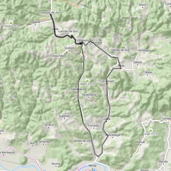 Map miniature of "The Ormindea Loop" cycling inspiration in Vest, Romania. Generated by Tarmacs.app cycling route planner