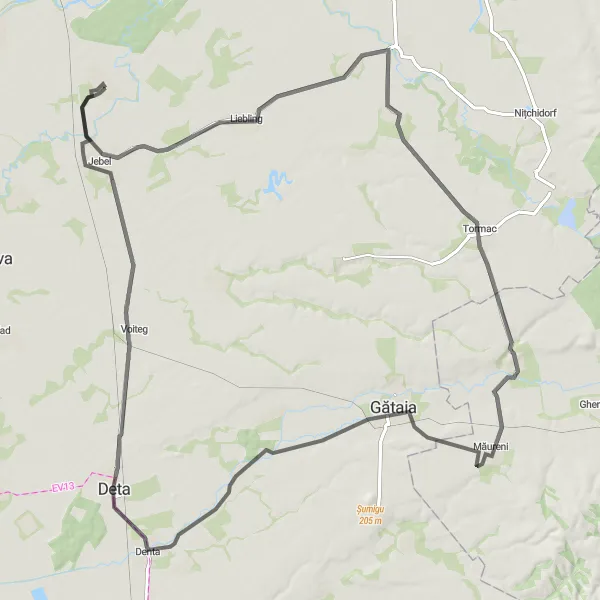 Map miniature of "Pădureni Loop" cycling inspiration in Vest, Romania. Generated by Tarmacs.app cycling route planner