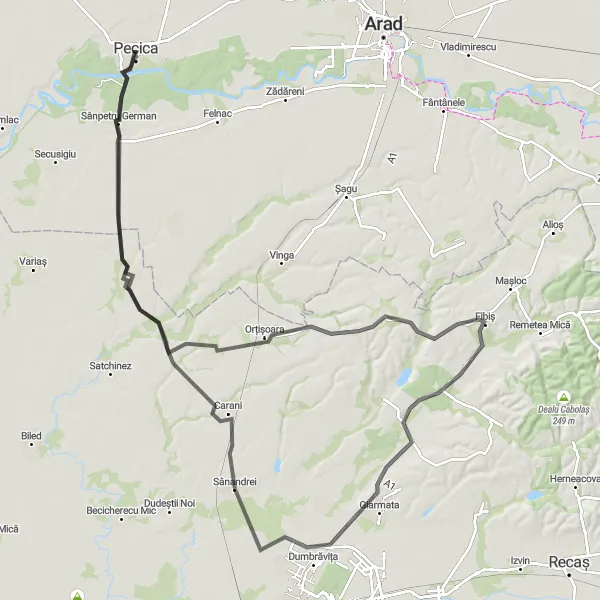 Map miniature of "The Castles of Carani" cycling inspiration in Vest, Romania. Generated by Tarmacs.app cycling route planner