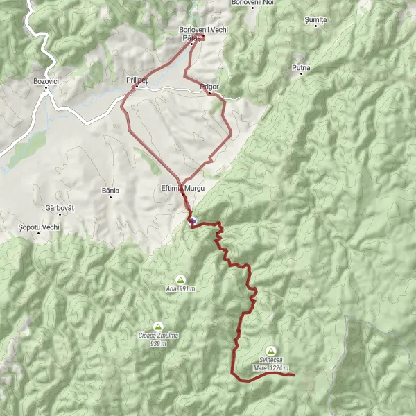 Map miniature of "The Valley of Prigor" cycling inspiration in Vest, Romania. Generated by Tarmacs.app cycling route planner