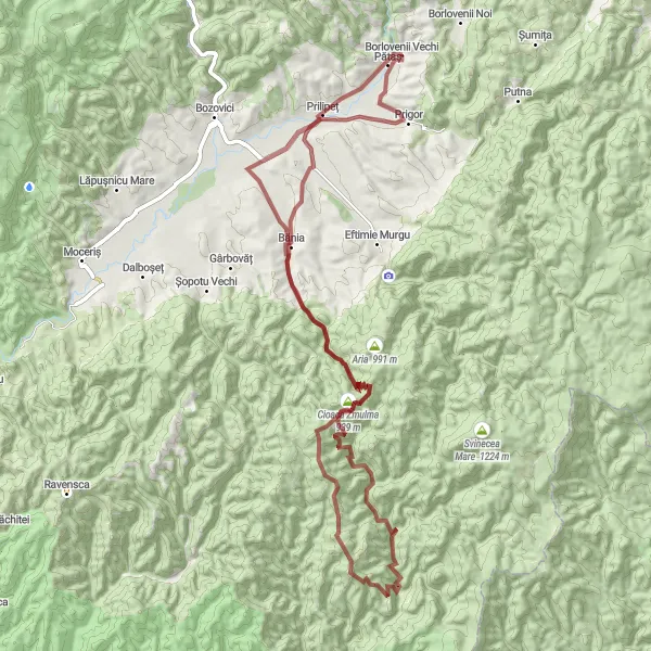 Map miniature of "Gravel Countryside Escape" cycling inspiration in Vest, Romania. Generated by Tarmacs.app cycling route planner