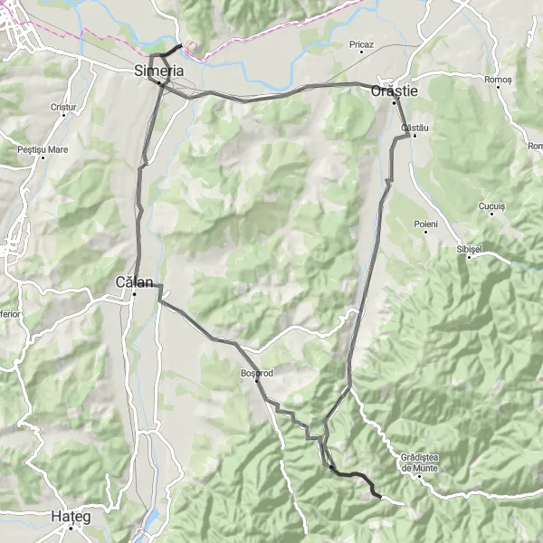 Map miniature of "The Spini Loop" cycling inspiration in Vest, Romania. Generated by Tarmacs.app cycling route planner