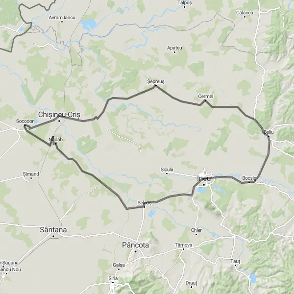 Map miniature of "Road Cycling Adventure to Ineu" cycling inspiration in Vest, Romania. Generated by Tarmacs.app cycling route planner