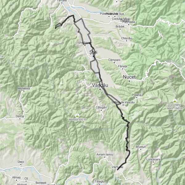 Map miniature of "The South-Eastern Loop" cycling inspiration in Vest, Romania. Generated by Tarmacs.app cycling route planner