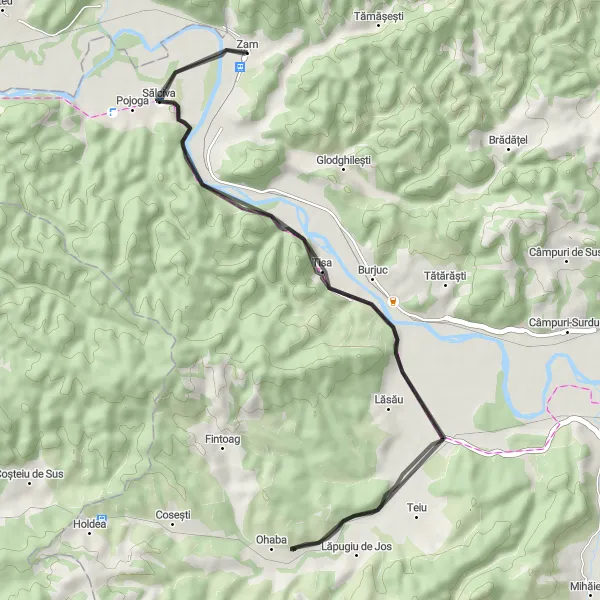 Map miniature of "Burjuc and Ohaba Loop" cycling inspiration in Vest, Romania. Generated by Tarmacs.app cycling route planner