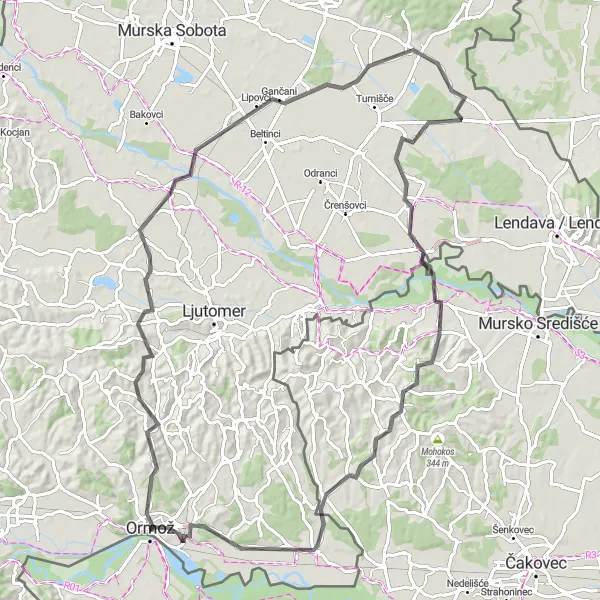 Map miniature of "Explorations of Eastern Slovenia" cycling inspiration in Vzhodna Slovenija, Slovenia. Generated by Tarmacs.app cycling route planner