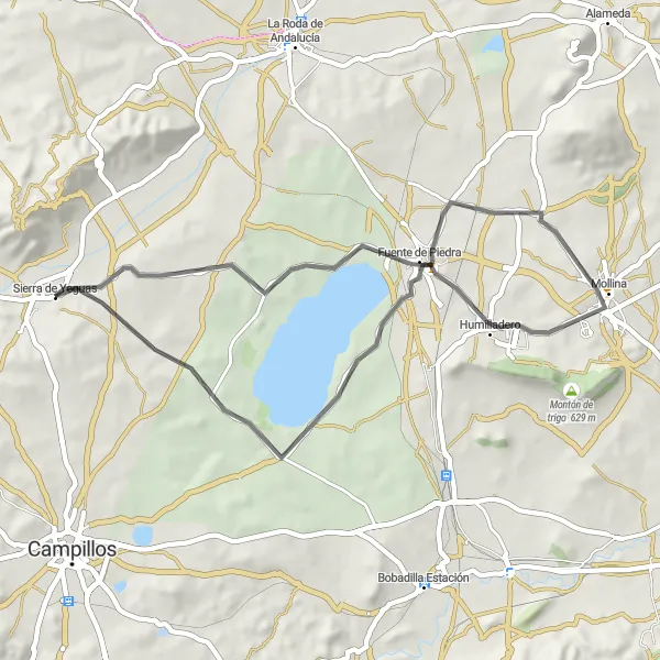 Miniatua del mapa de inspiración ciclista "Ruta del Laguneto y Fuente de Piedra" en Andalucía, Spain. Generado por Tarmacs.app planificador de rutas ciclistas