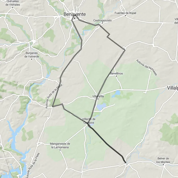 Miniatua del mapa de inspiración ciclista "Ruta de Ciclismo por Carretera en Castrogonzalo y Villafáfila" en Castilla y León, Spain. Generado por Tarmacs.app planificador de rutas ciclistas