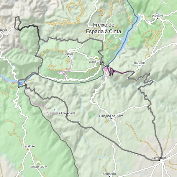 Miniatuurkaart van de fietsinspiratie "Rondrit van Lumbrales naar La Fregeneda en terug (weg)" in Castilla y León, Spain. Gemaakt door de Tarmacs.app fietsrouteplanner