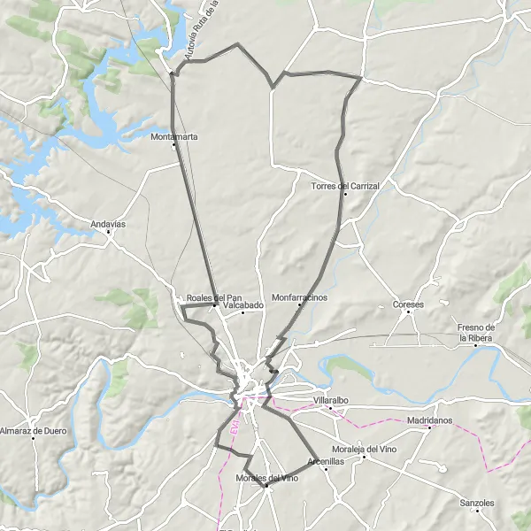 Miniatuurkaart van de fietsinspiratie "Scenic wegfietsroute rondom Morales del Vino" in Castilla y León, Spain. Gemaakt door de Tarmacs.app fietsrouteplanner