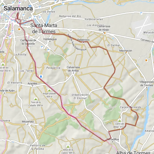 Miniatuurkaart van de fietsinspiratie "Rondje Salamanca - Teso de San Vicente - Pelabravo - Cerro del Molar - Terradillos - Arapil Grande - Salamanca" in Castilla y León, Spain. Gemaakt door de Tarmacs.app fietsrouteplanner