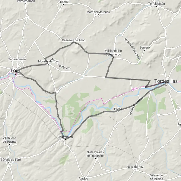 Miniatua del mapa de inspiración ciclista "Ruta en bicicleta de carretera por la región vinícola de Toro" en Castilla y León, Spain. Generado por Tarmacs.app planificador de rutas ciclistas