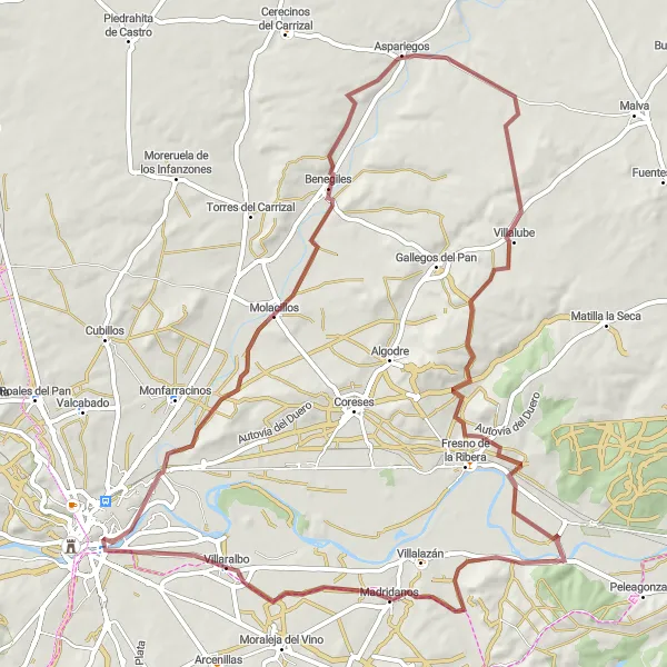 Map miniature of "Valdefinjas Gravel Adventure" cycling inspiration in Castilla y León, Spain. Generated by Tarmacs.app cycling route planner