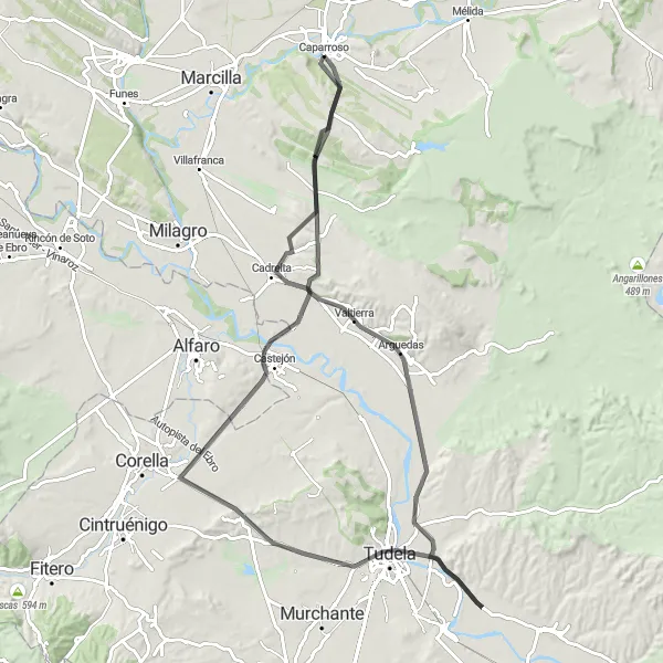 Miniatua del mapa de inspiración ciclista "Ruta desde Caparroso a Tudela y Castejón" en Comunidad Foral de Navarra, Spain. Generado por Tarmacs.app planificador de rutas ciclistas