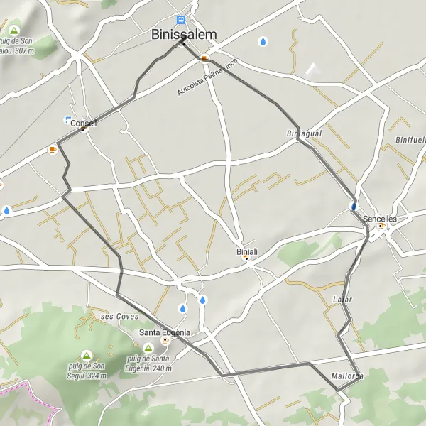 Map miniature of "Binissalem to Consell Loop" cycling inspiration in Illes Balears, Spain. Generated by Tarmacs.app cycling route planner