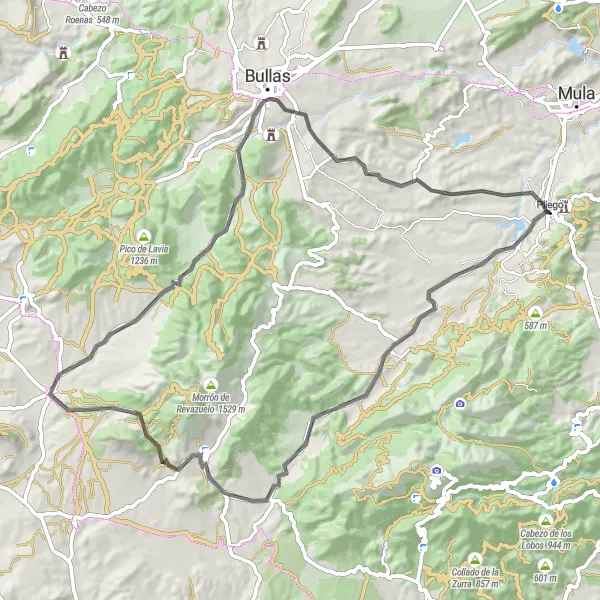 Miniatura della mappa di ispirazione al ciclismo "Rotta ciclistica panoramica da Pliego" nella regione di Región de Murcia, Spain. Generata da Tarmacs.app, pianificatore di rotte ciclistiche
