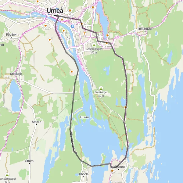 Kartminiatyr av "Vägar längs Umeälven och Holmsund" cykelinspiration i Övre Norrland, Sweden. Genererad av Tarmacs.app cykelruttplanerare