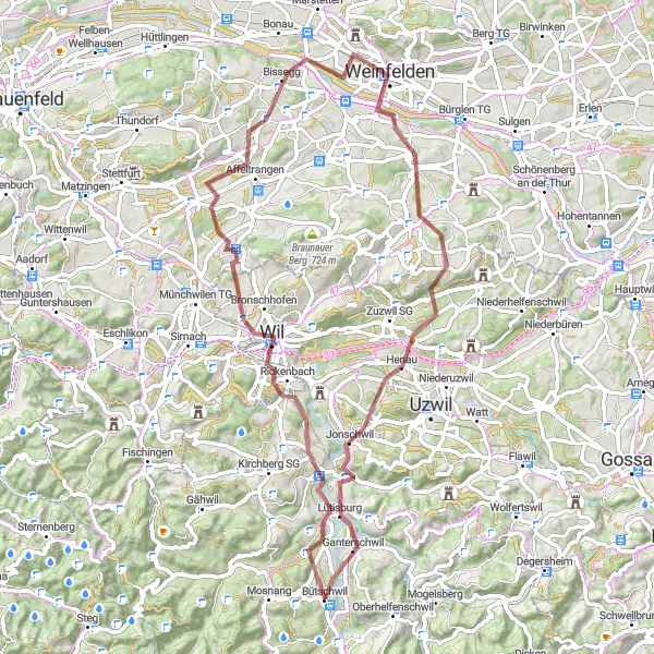 Map miniature of "Into the Wilderness" cycling inspiration in Ostschweiz, Switzerland. Generated by Tarmacs.app cycling route planner