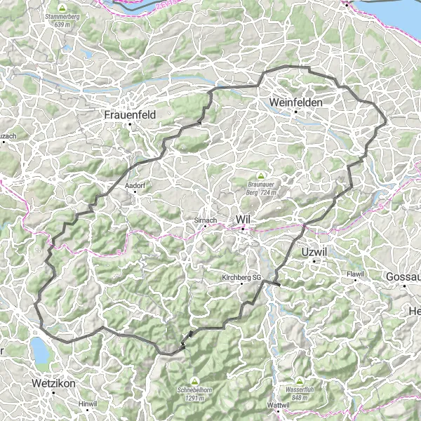 Zemljevid v pomanjšavi "Raznolika kolesarska avantura od Erlen do Berg TG" kolesarske inspiracije v Ostschweiz, Switzerland. Generirano z načrtovalcem kolesarskih poti Tarmacs.app