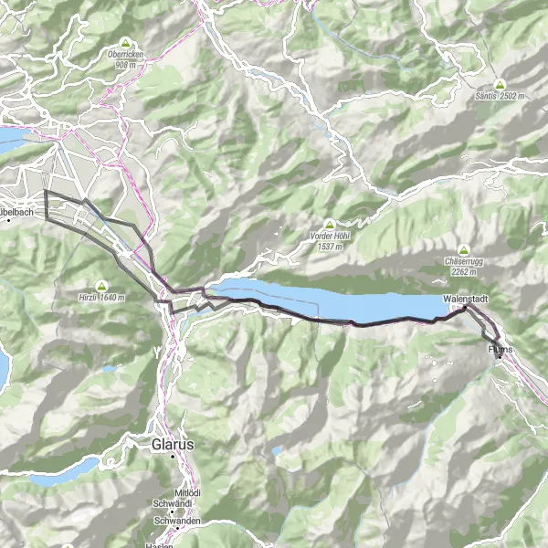 Map miniature of "Flums to Raischibe Loop" cycling inspiration in Ostschweiz, Switzerland. Generated by Tarmacs.app cycling route planner