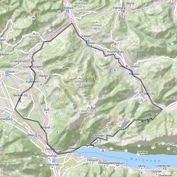 Map miniature of "Kaltbrunn Loop" cycling inspiration in Ostschweiz, Switzerland. Generated by Tarmacs.app cycling route planner