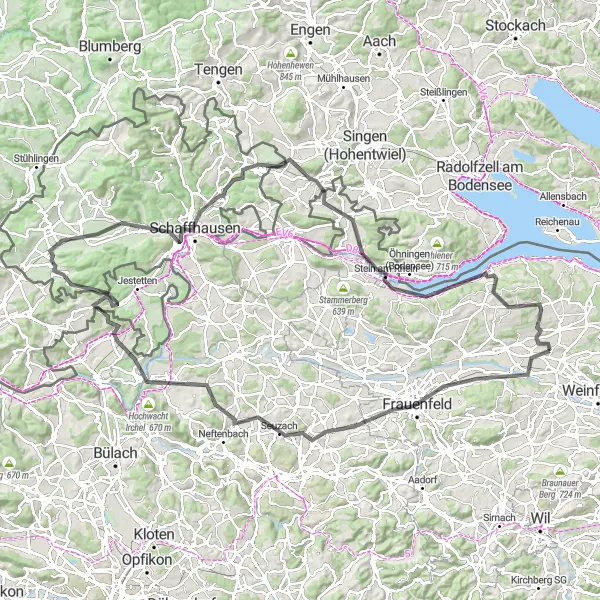 Zemljevid v pomanjšavi "Pitoreskna kolesarska pot ob reki Renu in Bodenskem jezeru" kolesarske inspiracije v Ostschweiz, Switzerland. Generirano z načrtovalcem kolesarskih poti Tarmacs.app