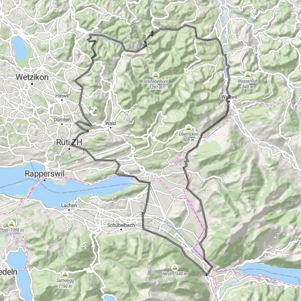 Miniatuurkaart van de fietsinspiratie "Rondrit vanuit Niederurnen via Schmerikon, Rüti ZH en Wattwil" in Ostschweiz, Switzerland. Gemaakt door de Tarmacs.app fietsrouteplanner