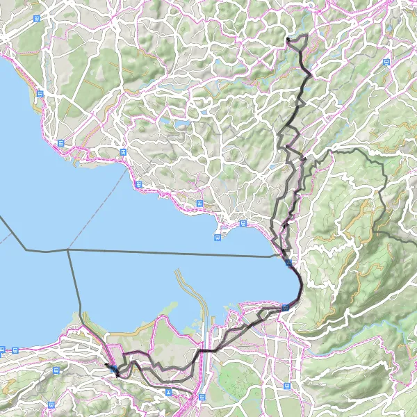 Miniatua del mapa de inspiración ciclista "Travesía desde Höchst a Löwenhof" en Ostschweiz, Switzerland. Generado por Tarmacs.app planificador de rutas ciclistas