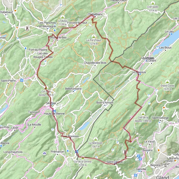 Miniatura della mappa di ispirazione al ciclismo "Avventura naturale tra Saint-Cergue e Les Rousses" nella regione di Région lémanique, Switzerland. Generata da Tarmacs.app, pianificatore di rotte ciclistiche