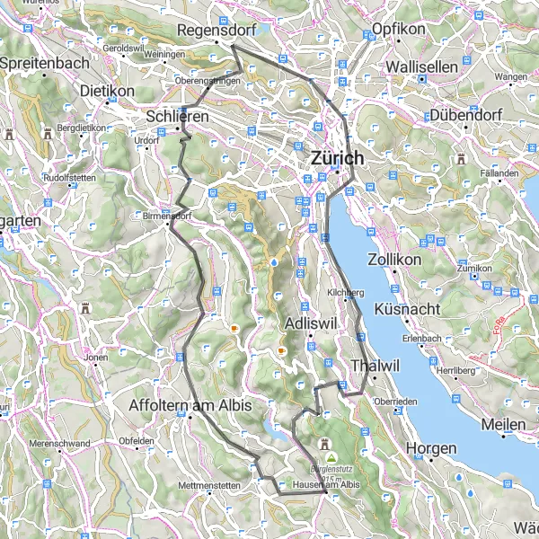 Map miniature of "Hausen am Albis Road Route" cycling inspiration in Zürich, Switzerland. Generated by Tarmacs.app cycling route planner