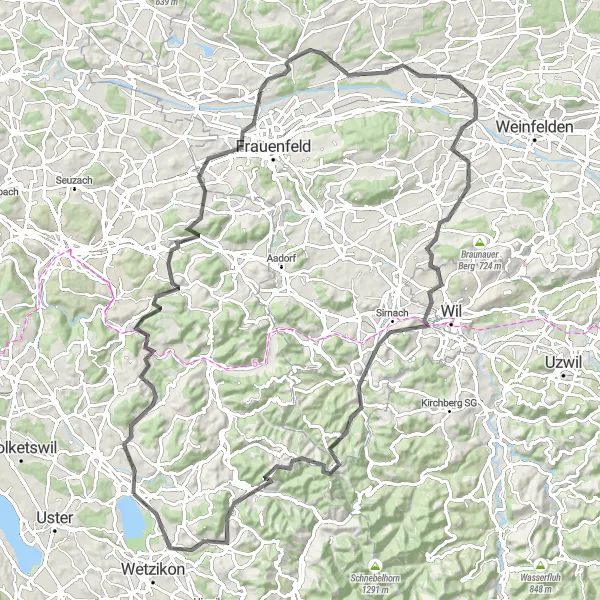 Kartminiatyr av "Pfäffikon til Pfäffikon ZH Road Cycle Route" sykkelinspirasjon i Zürich, Switzerland. Generert av Tarmacs.app sykkelrutoplanlegger