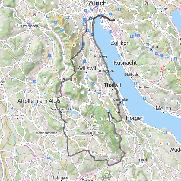 Miniatua del mapa de inspiración ciclista "Ruta de ciclismo por carretera desde Zürich Kreis 7 hacia Baarburg" en Zürich, Switzerland. Generado por Tarmacs.app planificador de rutas ciclistas