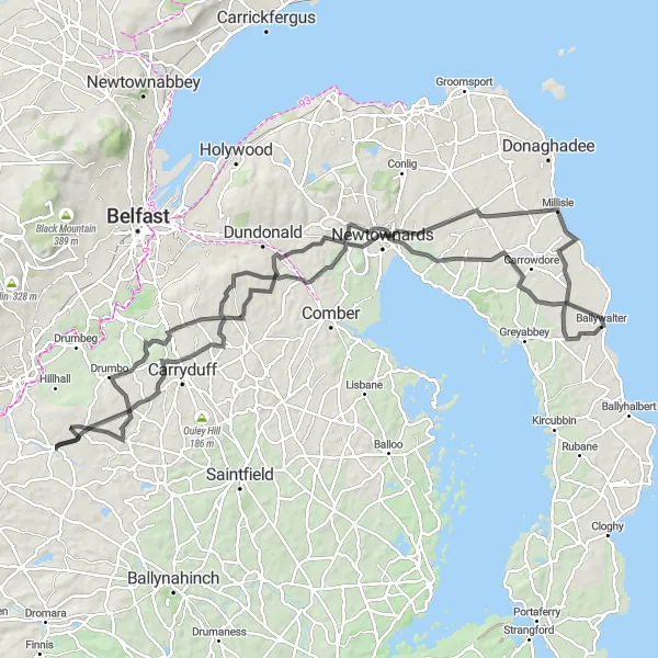 Map miniature of "Ballywalter to Movilla Abbey" cycling inspiration in Northern Ireland, United Kingdom. Generated by Tarmacs.app cycling route planner