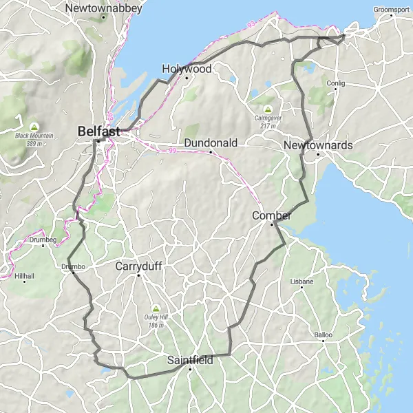 Map miniature of "Scenic Hills and City Ride" cycling inspiration in Northern Ireland, United Kingdom. Generated by Tarmacs.app cycling route planner